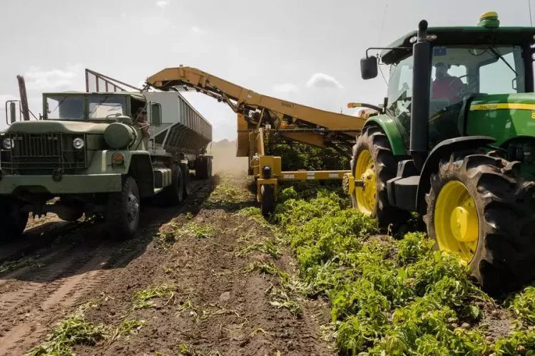 Agricultural Cooperatives