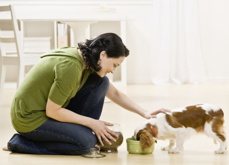 woman and her dog
