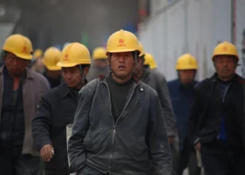 How To Check The License Of A Contractor