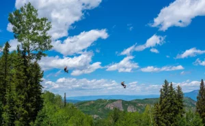 Aspen Snowmass