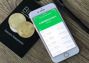 How Can Nevada Be A Suitable Destination For Profitable Bitcoin Activities