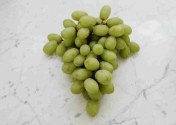 Are Grapes A Fruit Or Vegetable