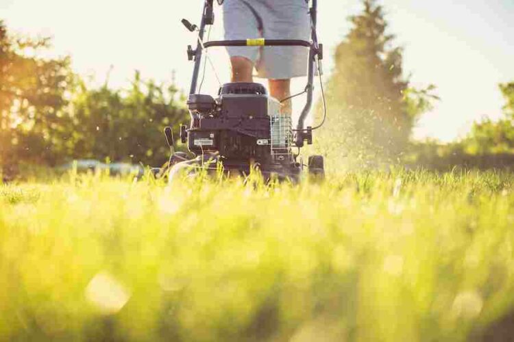 Can You Use Regular Motor Oil In A Lawn Mower