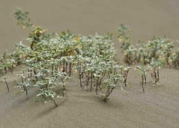 How To Stop A Tree From Growing