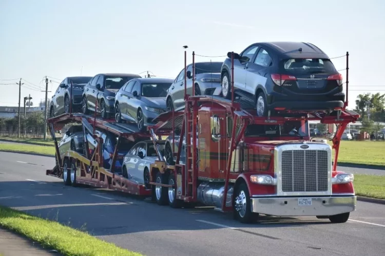 What To Expect During Auto Transport From Florida To New Jersey