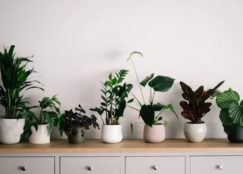 Easy Ways To Live A More Eco-Friendly Lifestyle