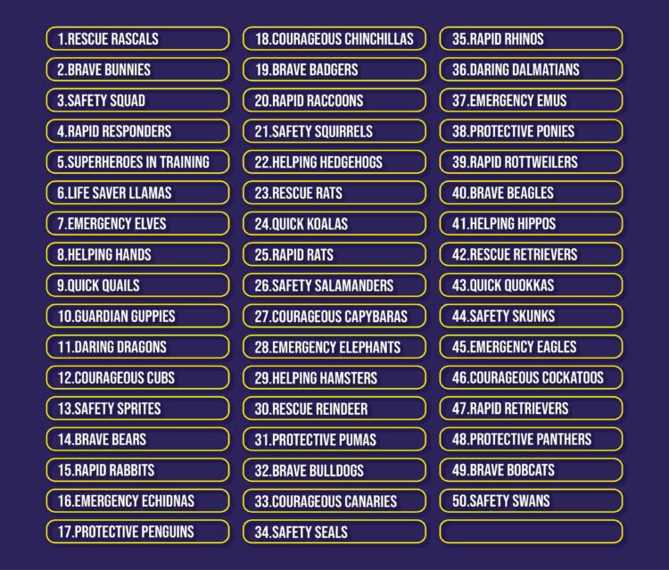 200 Emergency Service Names: Exploring Unique Emergency Service Names