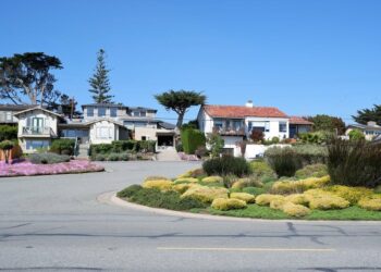 Enjoying The Perks Of Eco-Friendly Rental Apartments