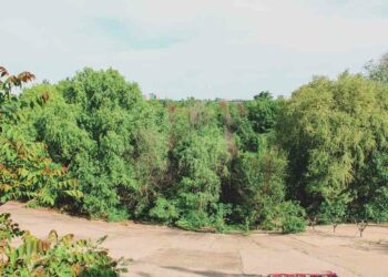 What Farming Method Is Used In Dry Or Desert Areas