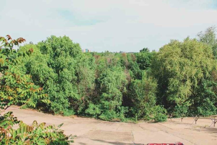 What Farming Method Is Used In Dry Or Desert Areas