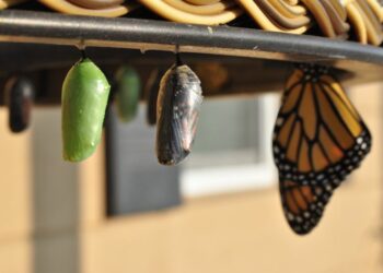 Does Sleeping Make You Taller