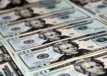 Project Pollo Net Worth