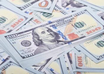 Shea Mcgee Net Worth