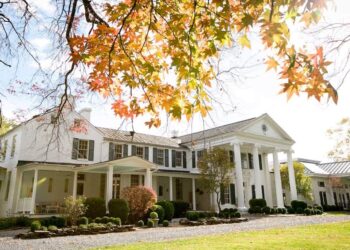 Alexi Lalas Net Worth