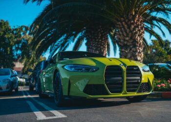 Eddie Bravo's Net Worth