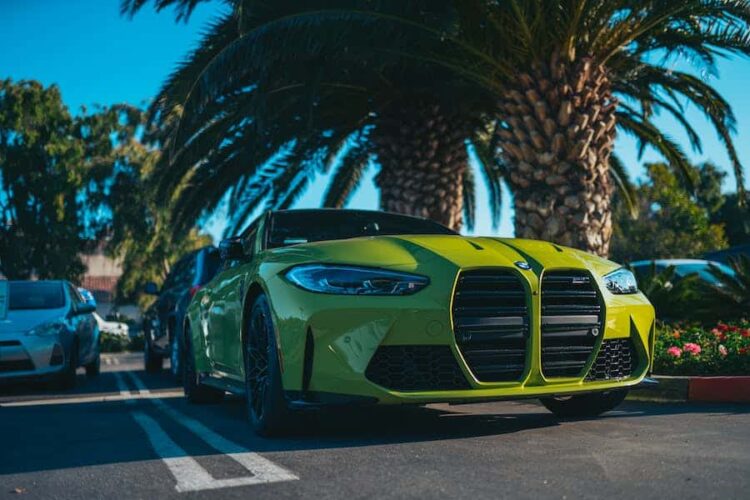 Eddie Bravo's Net Worth