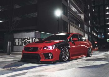 Pickle Wheat Net Worth