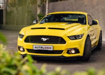 Tyler Wade Net Worth