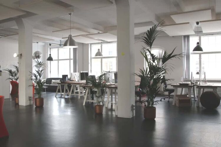 4 Ways To Create An Appealing Work Environment