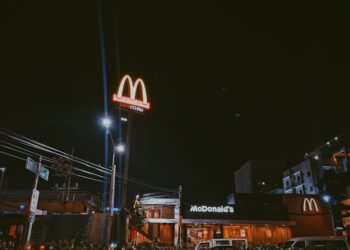 What Vegetarian Options Does McDonald's Offer In The USA