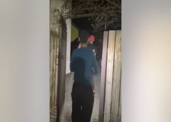 Mysterious Visitors: Las Vegas Alien Sighting Stirs Debate and Scientific Scrutiny