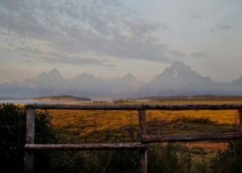 Rising Tensions: Man Injured in Surprise Grizzly Attack at Grand Teton National Park