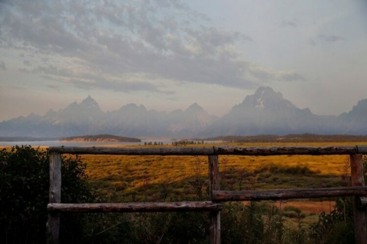 Rising Tensions: Man Injured in Surprise Grizzly Attack at Grand Teton National Park