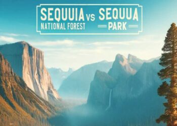 Sequoia National Forest VS Park
