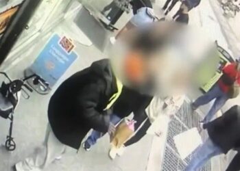 Video Reveals New York Man Stabbing Random Tourist in Unprovoked Attack
