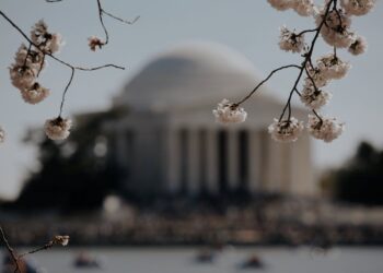 What College Did Thomas Jefferson Go To