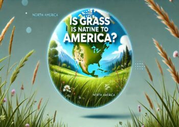 Is Grass Native to America