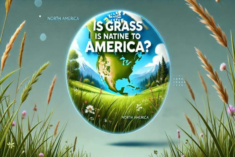 Is Grass Native to America