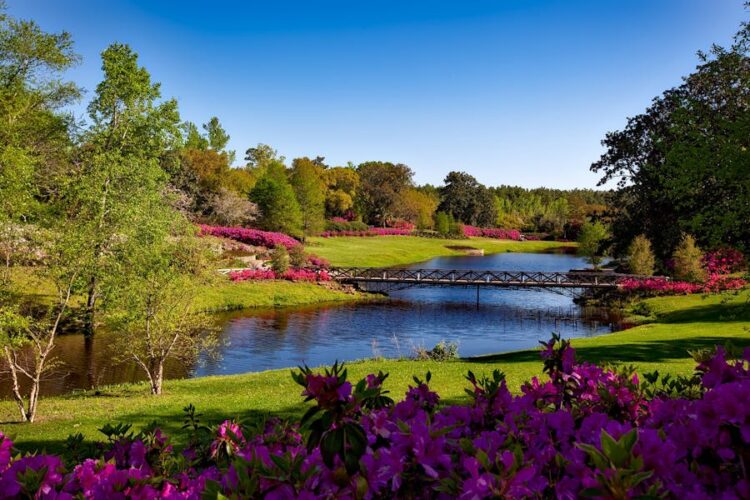 Where Nature Meets Fun