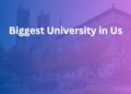 biggest university in us